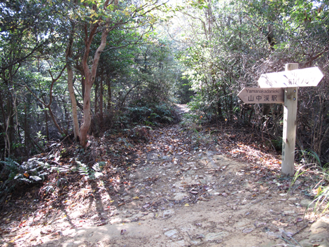 20131116hike (53)